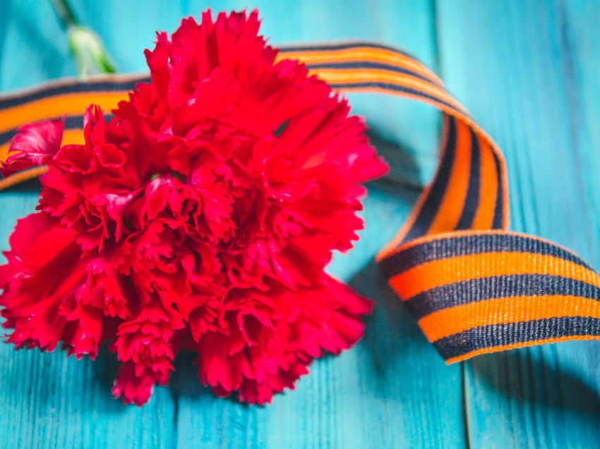 Забайкальский край традиционно присоединяется к акции «Красная гвоздика»